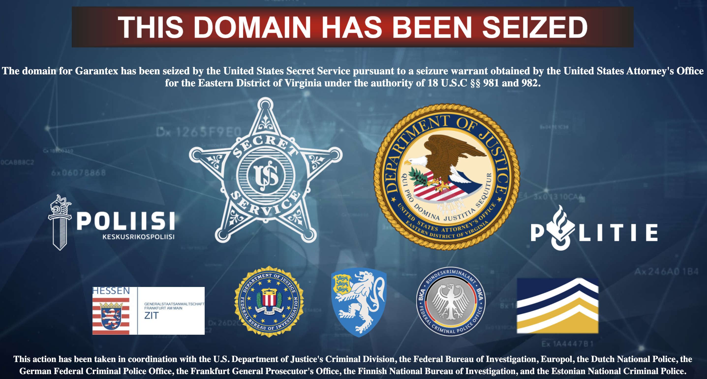 Screenshot of Seized Domain